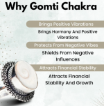 Gomti Chakra Ring - Stone for Good Luck, Prosperity and Good Health - Image 4